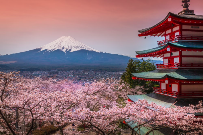 Screenshot 2019-02-22 at 19.09.34 Mount Fuji and Lake Kawaguchi Tour | 1 Day Mt Fuji Private Tour